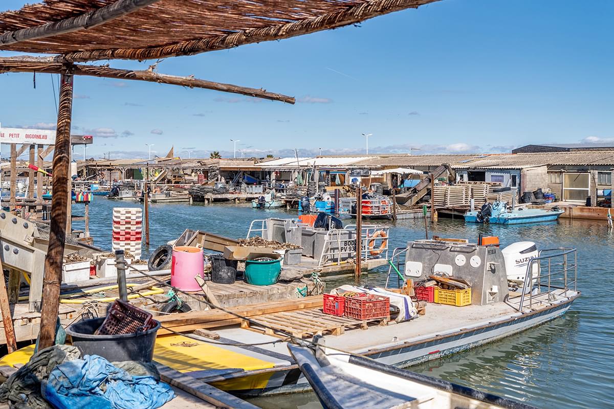 Le bassin ostréicole de Leucate