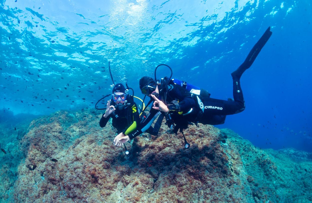 Plongée sous-marine