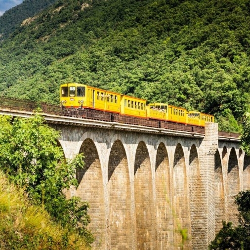 TRAIN JAUNE