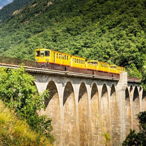 TRAIN JAUNE